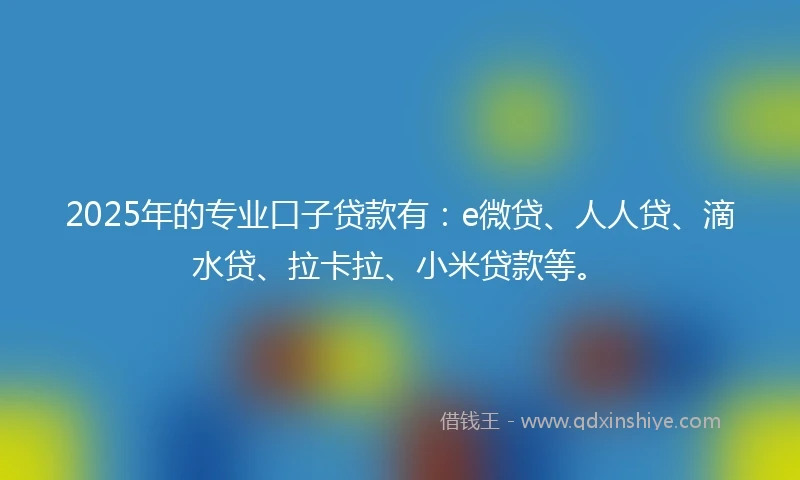 2025年的专业口子贷款有：e微贷、人人贷、滴水贷、拉卡拉、小米贷款等。