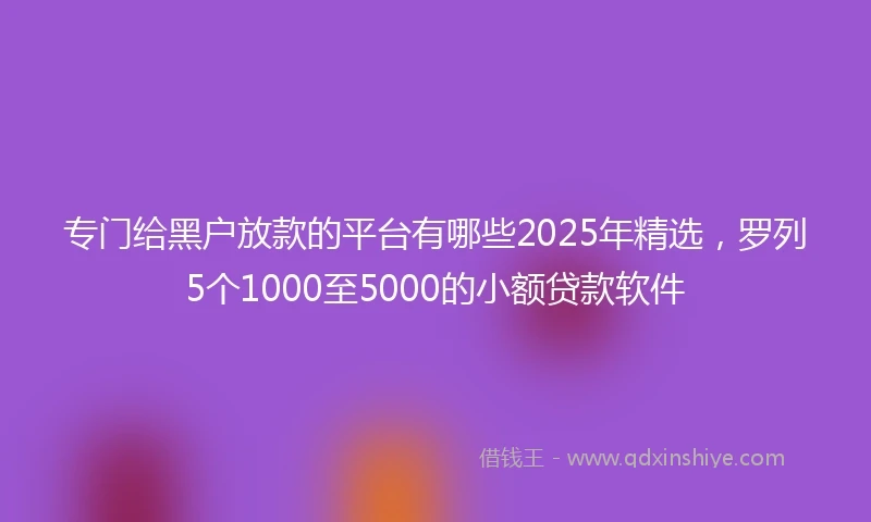 专门给黑户放款的平台有哪些2025年精选,罗列5个1000至5000的小额贷款软件