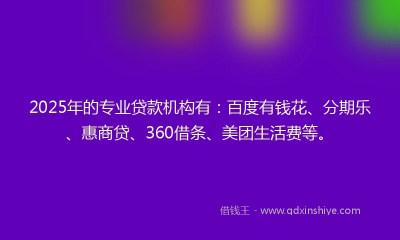 2025年的专业贷款机构有：百度有钱花、分期乐、惠商贷、360借条、美团生活费等。
