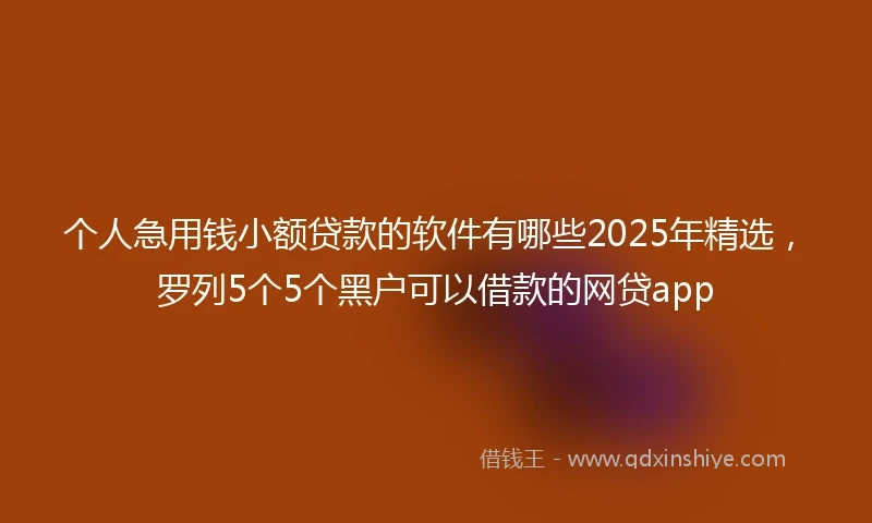 个人急用钱小额贷款的软件有哪些2025年精选，罗列5个5个黑户可以借款的网贷app