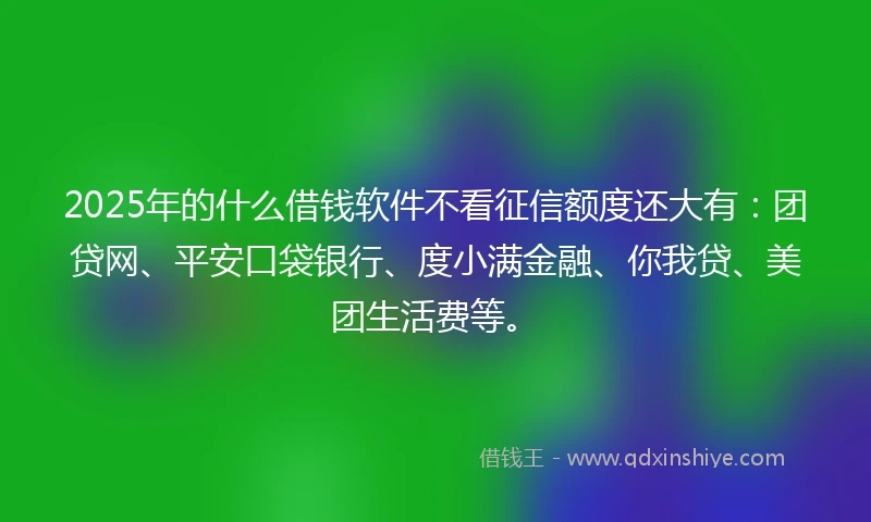2025年的什么借钱软件不看征信额度还大有：团贷网、平安口袋银行、度小满金融、你我贷、美团生活费等。