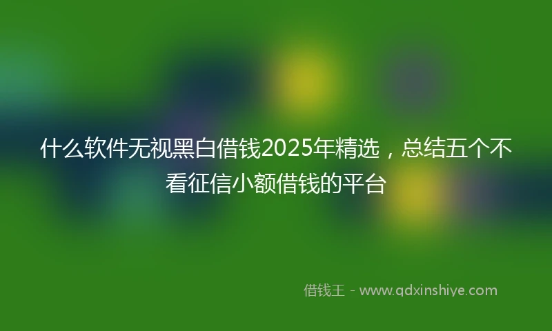 什么软件无视黑白借钱2025年精选，总结五个不看征信小额借钱的平台