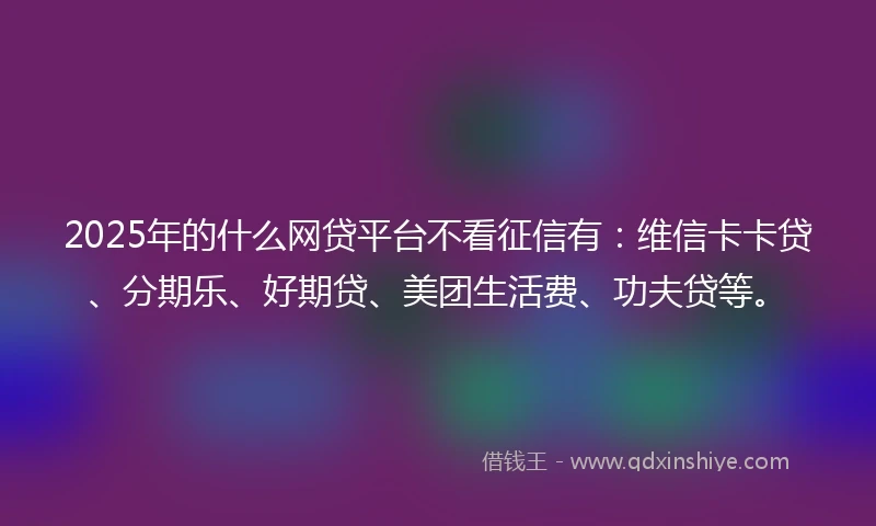 2025年的什么网贷平台不看征信有：维信卡卡贷、分期乐、好期贷、美团生活费、功夫贷等。