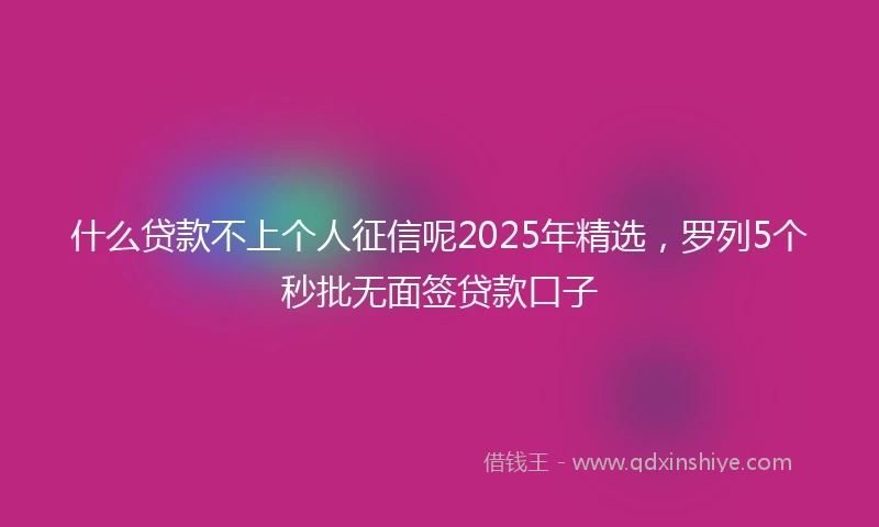 什么贷款不上个人征信呢2025年精选，罗列5个秒批无面签贷款口子