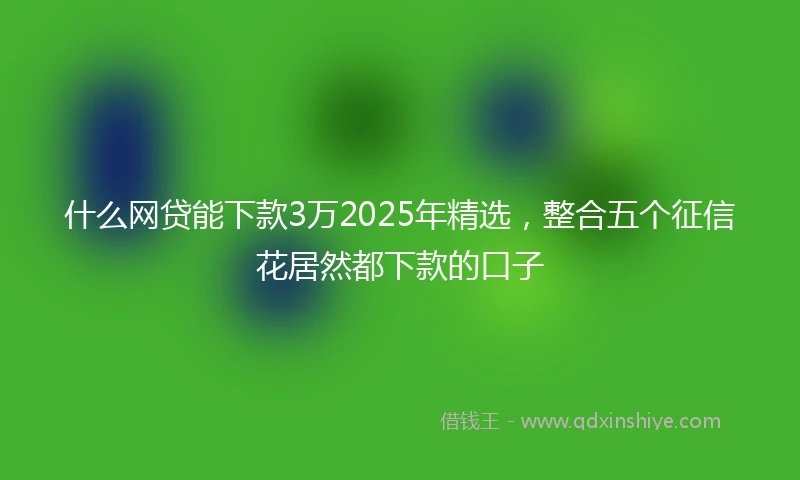 什么网贷能下款3万2025年精选，整合五个征信花居然都下款的口子