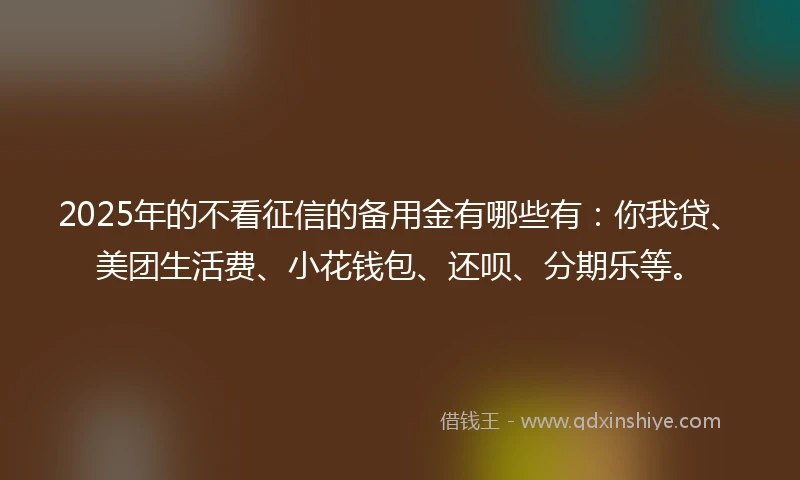 2025年的不看征信的备用金有哪些有：你我贷、美团生活费、小花钱包、还呗、分期乐等。