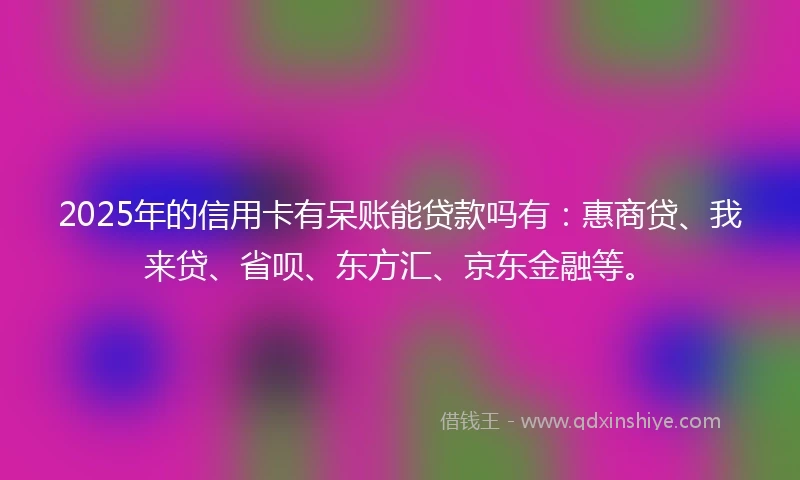 2025年的信用卡有呆账能贷款吗有：惠商贷、我来贷、省呗、东方汇、京东金融等。