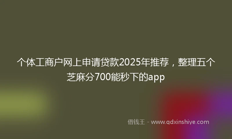 个体工商户网上申请贷款2025年推荐，整理五个芝麻分700能秒下的app