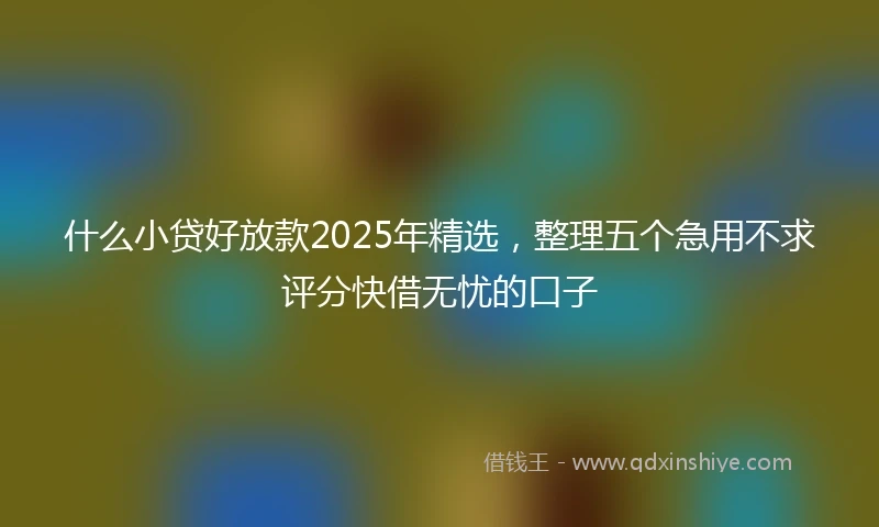 什么小贷好放款2025年精选，整理五个急用不求评分快借无忧的口子