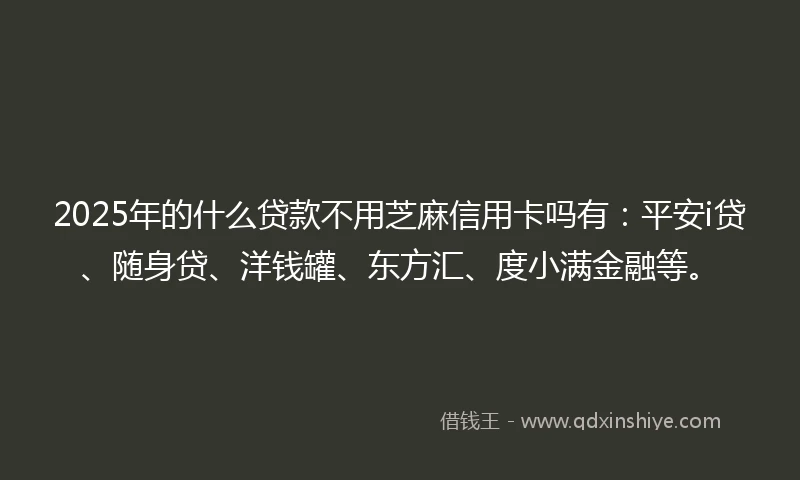 2025年的什么贷款不用芝麻信用卡吗有：平安i贷、随身贷、洋钱罐、东方汇、度小满金融等。