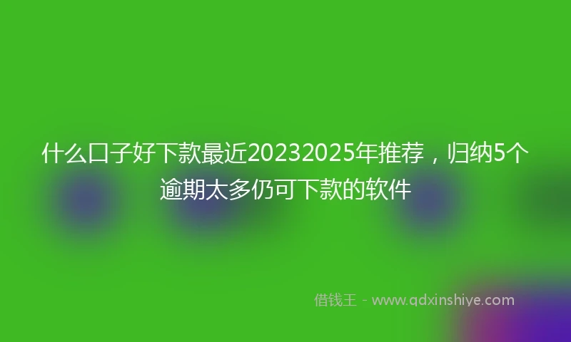 什么口子好下款最近20232025年推荐，归纳5个逾期太多仍可下款的软件