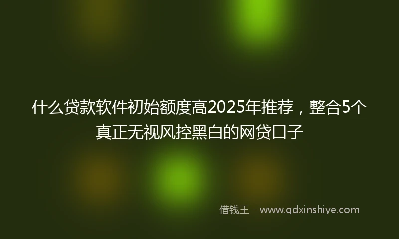 什么贷款软件初始额度高2025年推荐，整合5个真正无视风控黑白的网贷口子