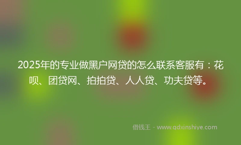 2025年的专业做黑户网贷的怎么联系客服有：花呗、团贷网、拍拍贷、人人贷、功夫贷等。