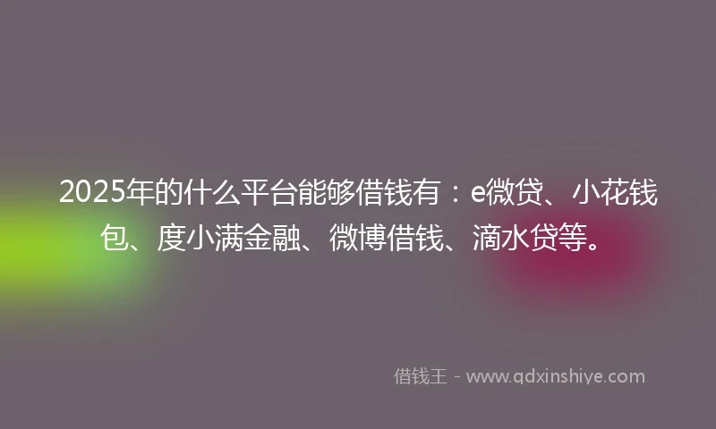 2025年的什么平台能够借钱有：e微贷、小花钱包、度小满金融、微博借钱、滴水贷等。