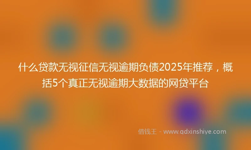什么贷款无视征信无视逾期负债2025年推荐，概括5个真正无视逾期大数据的网贷平台