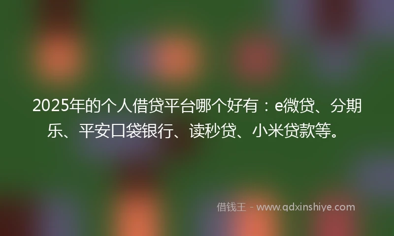 2025年的个人借贷平台哪个好有：e微贷、分期乐、平安口袋银行、读秒贷、小米贷款等。