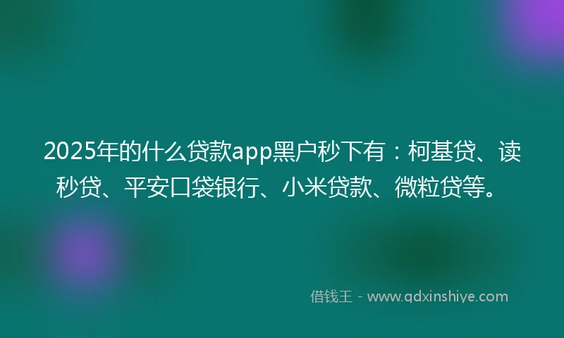 2025年的什么贷款app黑户秒下有：柯基贷、读秒贷、平安口袋银行、小米贷款、微粒贷等。