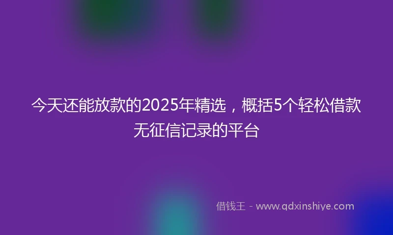 今天还能放款的2025年精选，概括5个轻松借款无征信记录的平台