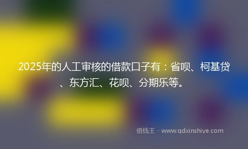 2025年的人工审核的借款口子有：省呗、柯基贷、东方汇、花呗、分期乐等。