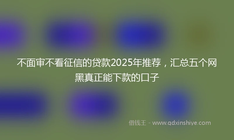 不面审不看征信的贷款2025年推荐，汇总五个网黑真正能下款的口子