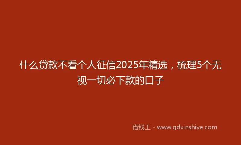 什么贷款不看个人征信2025年精选，梳理5个无视一切必下款的口子