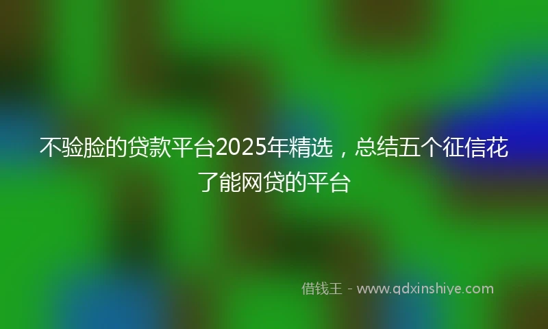 不验脸的贷款平台2025年精选，总结五个征信花了能网贷的平台