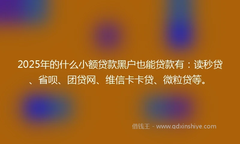 2025年的什么小额贷款黑户也能贷款有：读秒贷、省呗、团贷网、维信卡卡贷、微粒贷等。