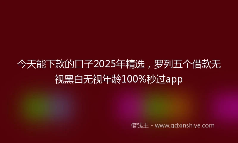 今天能下款的口子2025年精选，罗列五个借款无视黑白无视年龄100%秒过app