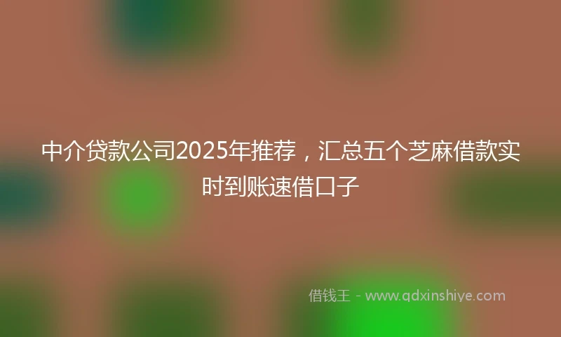 中介贷款公司2025年推荐，汇总五个芝麻借款实时到账速借口子