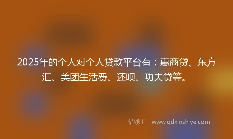 2025年的个人对个人贷款平台有：惠商贷、东方汇、美团生活费、还呗、功夫贷等。