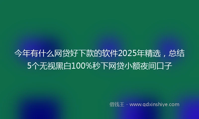 今年有什么网贷好下款的软件2025年精选，总结5个无视黑白100%秒下网贷小额夜间口子