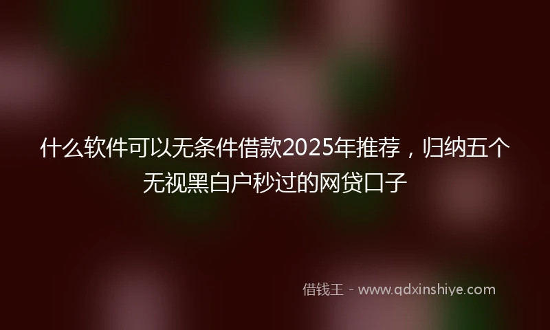 什么软件可以无条件借款2025年推荐，归纳五个无视黑白户秒过的网贷口子