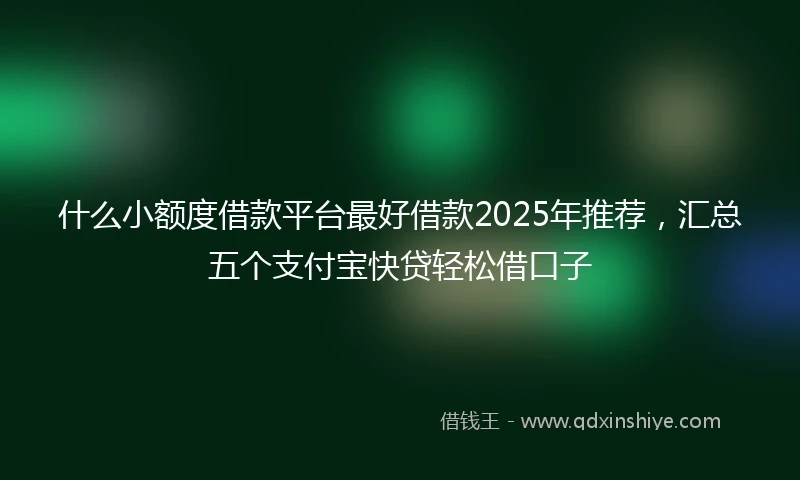 什么小额度借款平台最好借款2025年推荐，汇总五个支付宝快贷轻松借口子