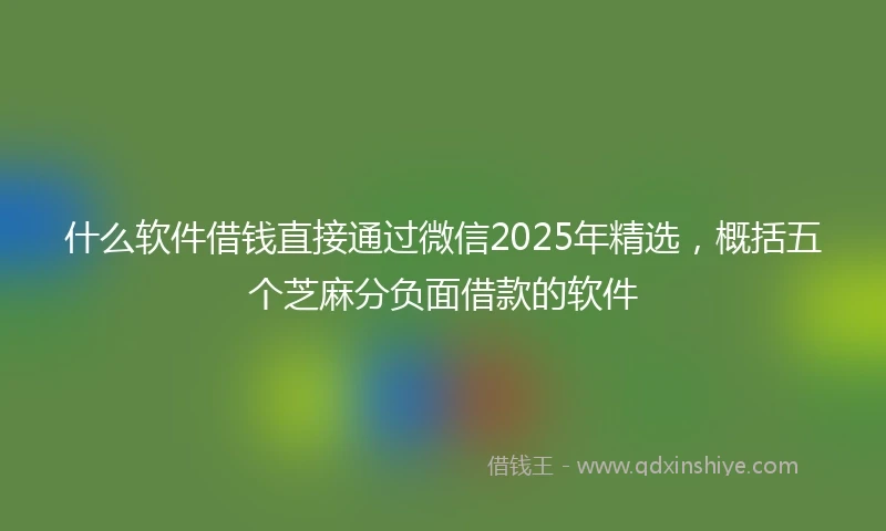 什么软件借钱直接通过微信2025年精选，概括五个芝麻分负面借款的软件