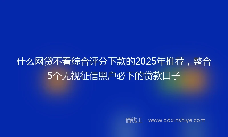 什么网贷不看综合评分下款的2025年推荐，整合5个无视征信黑户必下的贷款口子