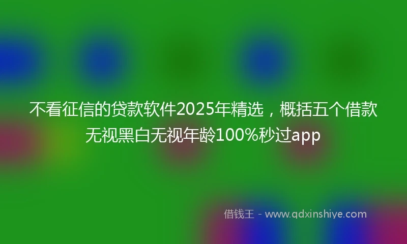 不看征信的贷款软件2025年精选，概括五个借款无视黑白无视年龄100%秒过app