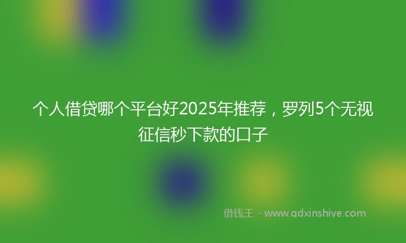 个人借贷哪个平台好2025年推荐，罗列5个无视征信秒下款的口子