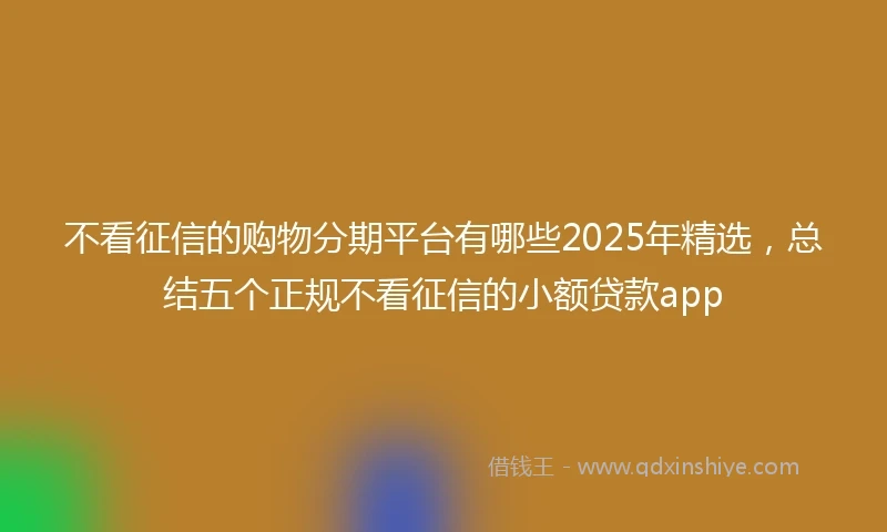 不看征信的购物分期平台有哪些2025年精选，总结五个正规不看征信的小额贷款app