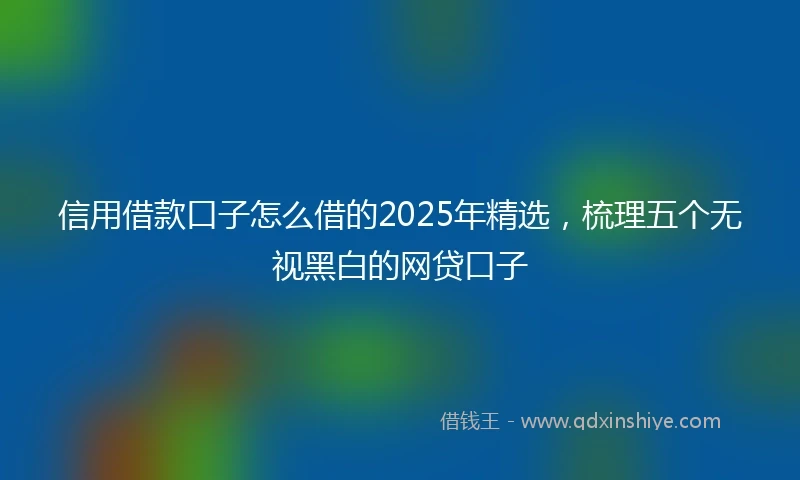 信用借款口子怎么借的2025年精选，梳理五个无视黑白的网贷口子