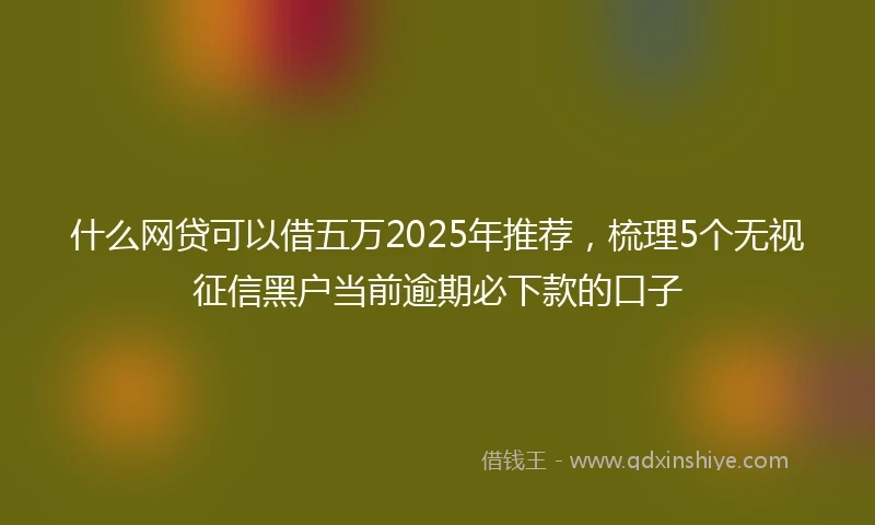 什么网贷可以借五万2025年推荐，梳理5个无视征信黑户当前逾期必下款的口子
