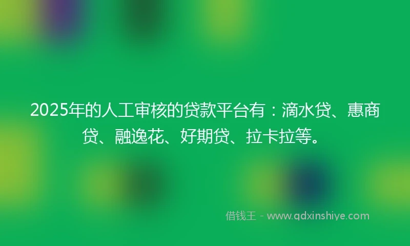 2025年的人工审核的贷款平台有：滴水贷、惠商贷、融逸花、好期贷、拉卡拉等。