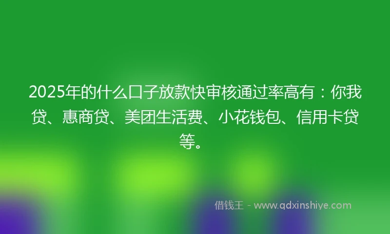 2025年的什么口子放款快审核通过率高有：你我贷、惠商贷、美团生活费、小花钱包、信用卡贷等。