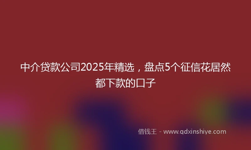 中介贷款公司2025年精选，盘点5个征信花居然都下款的口子