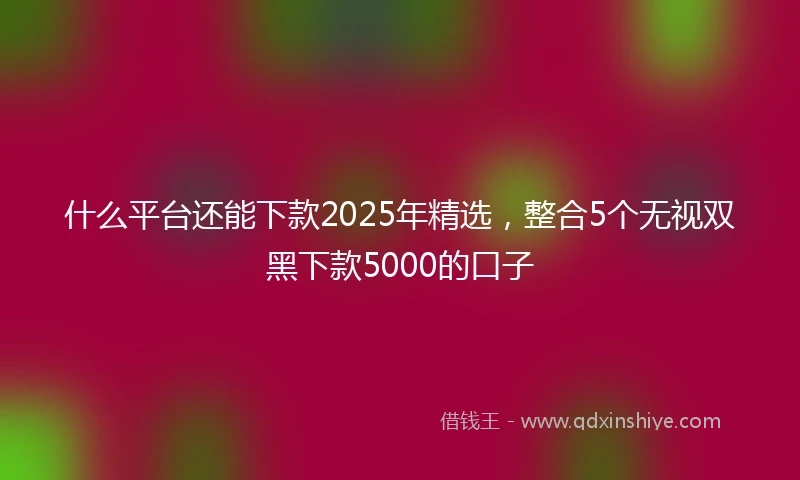 什么平台还能下款2025年精选，整合5个无视双黑下款5000的口子