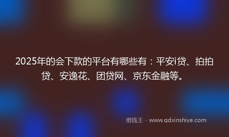 2025年的会下款的平台有哪些有：平安i贷、拍拍贷、安逸花、团贷网、京东金融等。