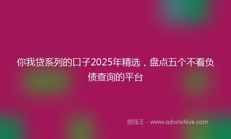 你我贷系列的口子2025年精选，盘点五个不看负债查询的平台