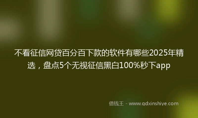 不看征信网贷百分百下款的软件有哪些2025年精选，盘点5个无视征信黑白100%秒下app