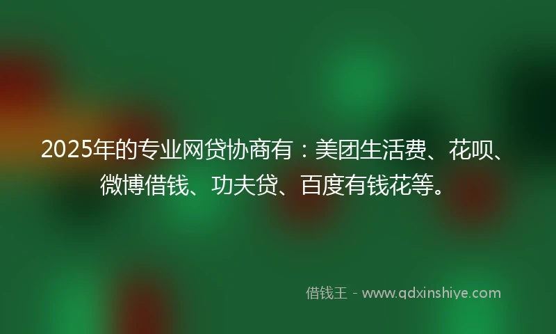 2025年的专业网贷协商有：美团生活费、花呗、微博借钱、功夫贷、百度有钱花等。