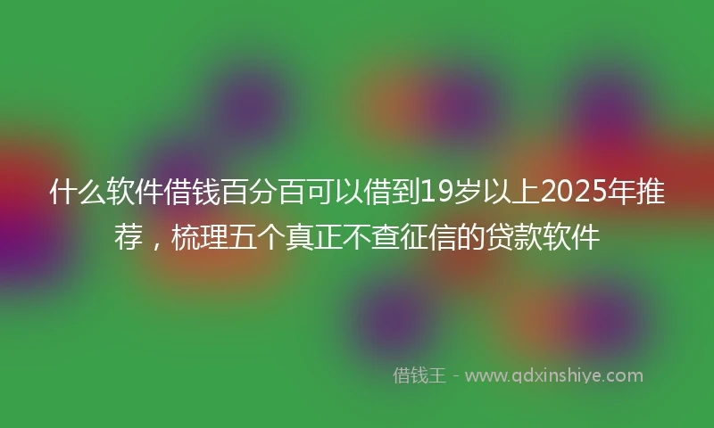 什么软件借钱百分百可以借到19岁以上2025年推荐，梳理五个真正不查征信的贷款软件