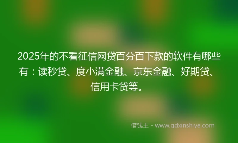 2025年的不看征信网贷百分百下款的软件有哪些有：读秒贷、度小满金融、京东金融、好期贷、信用卡贷等。